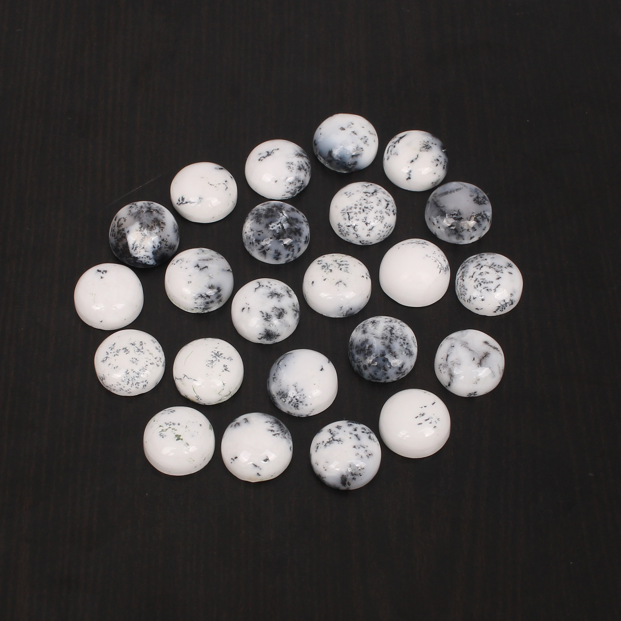 5Pcs Natural Dendritic Opal 10x10mm Round Cabochon 1730Cts