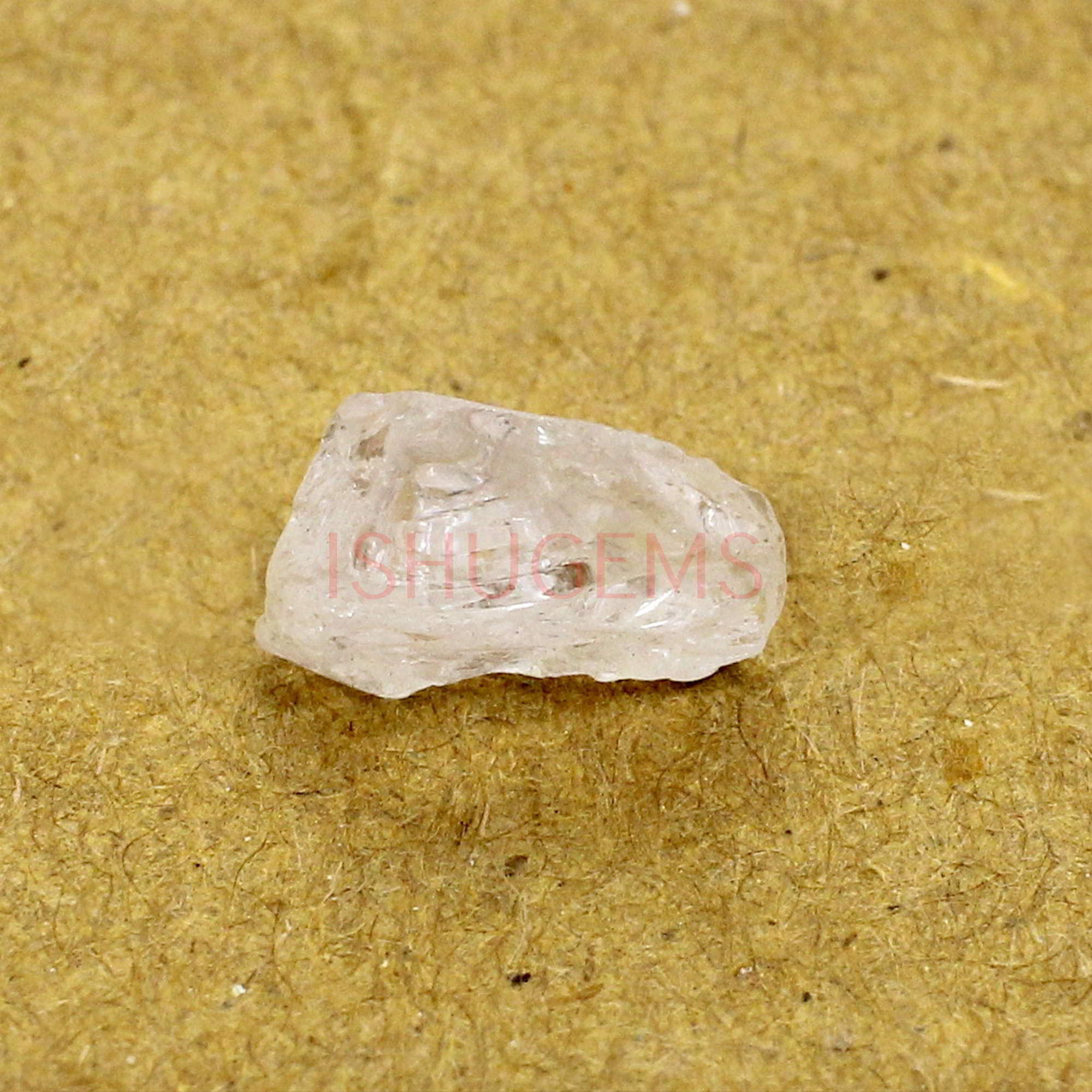 Natural Morganite 12x10mm Freeform Rough 540 Cts