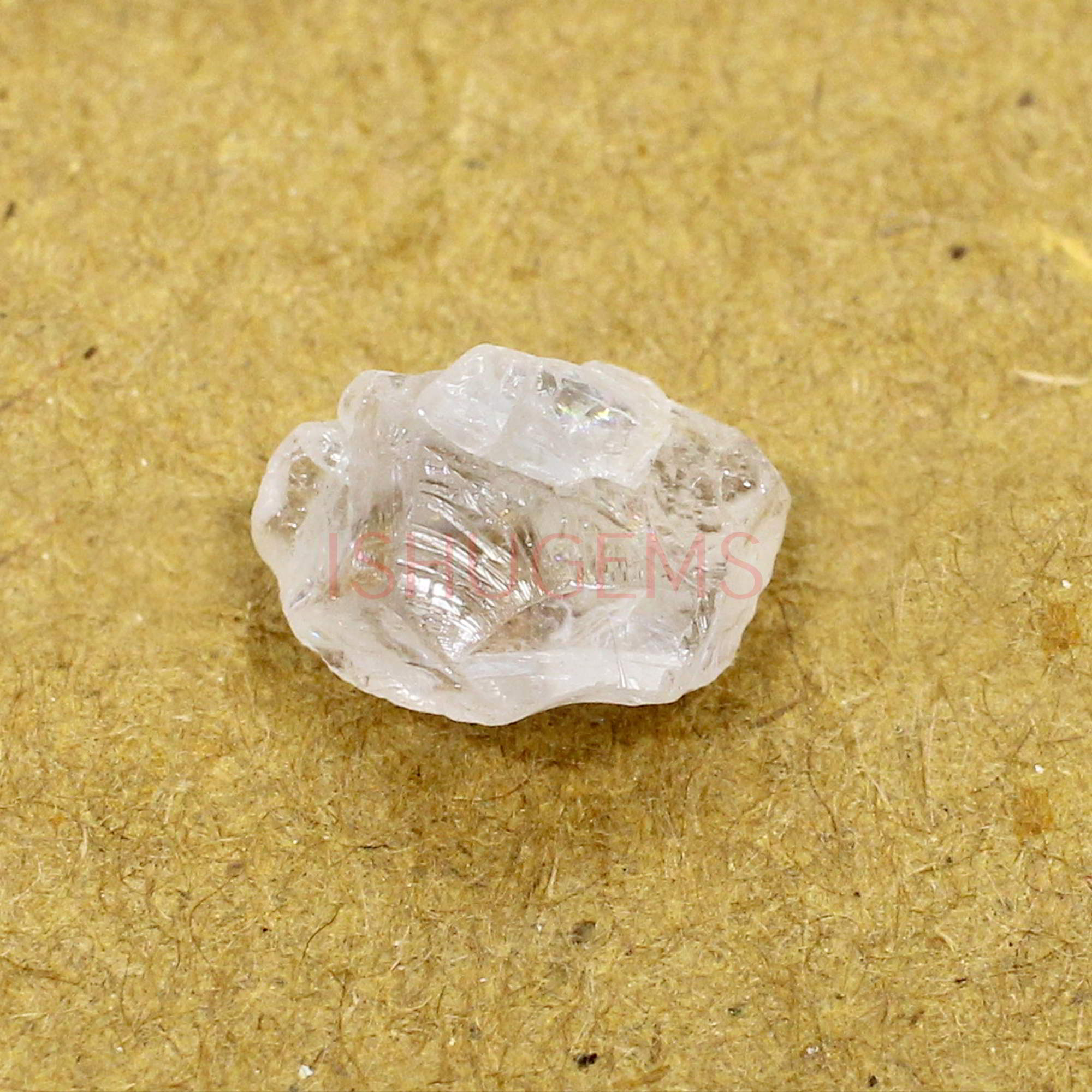 Natural Morganite 12x10mm Freeform Rough 540 Cts