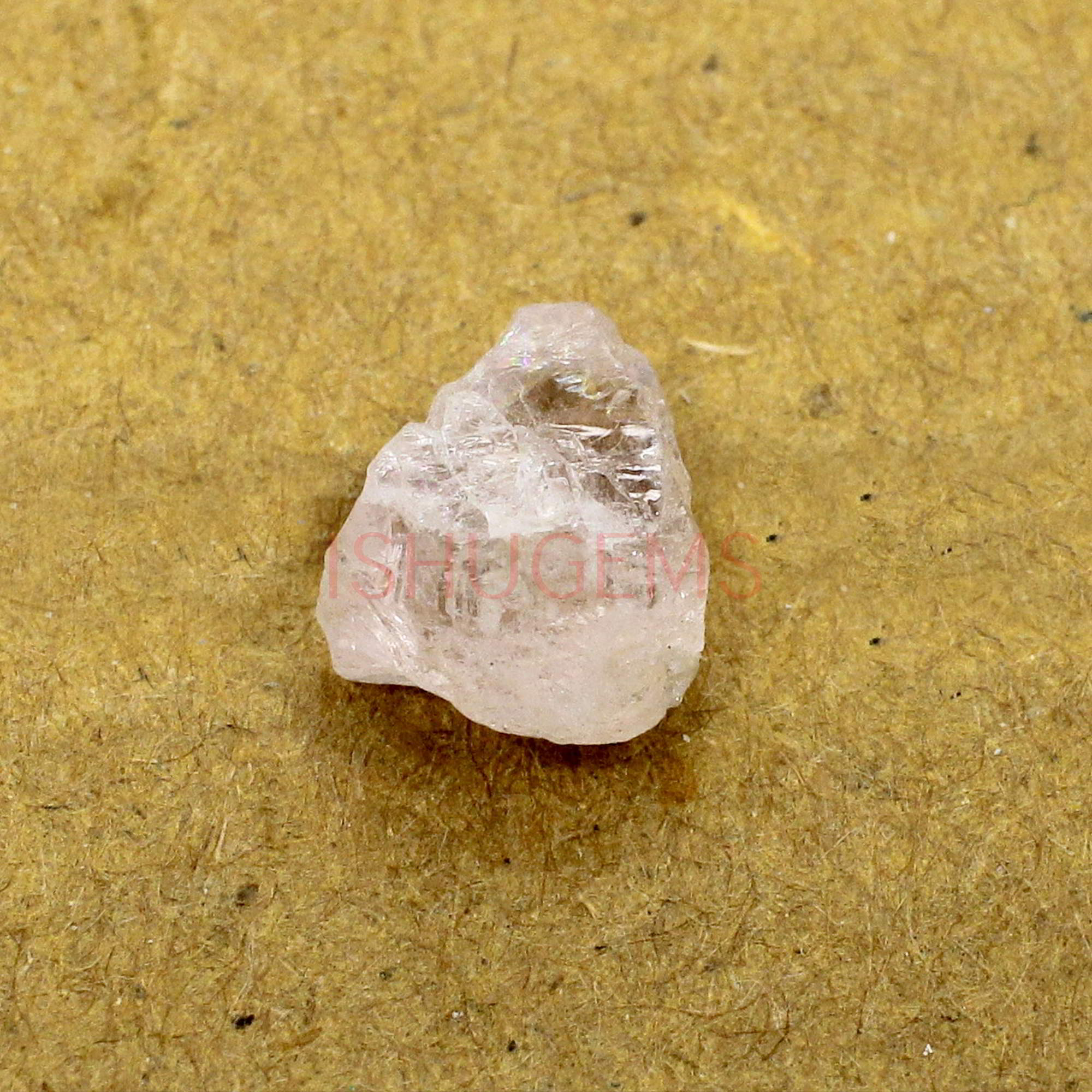Natural Morganite 12x9mm Freeform Rough 690 Cts