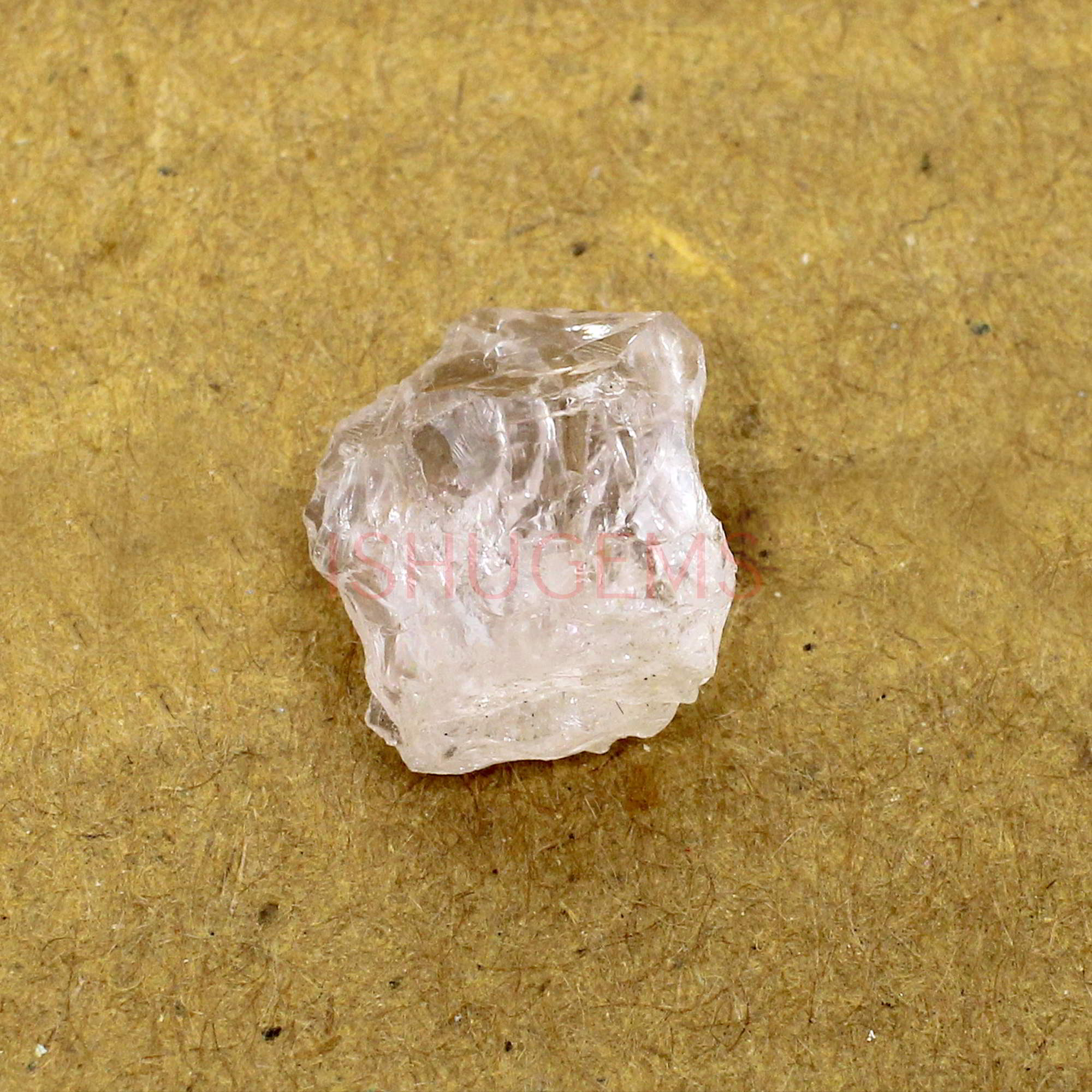 Natural Morganite 14x12mm Freeform Rough 830 Cts