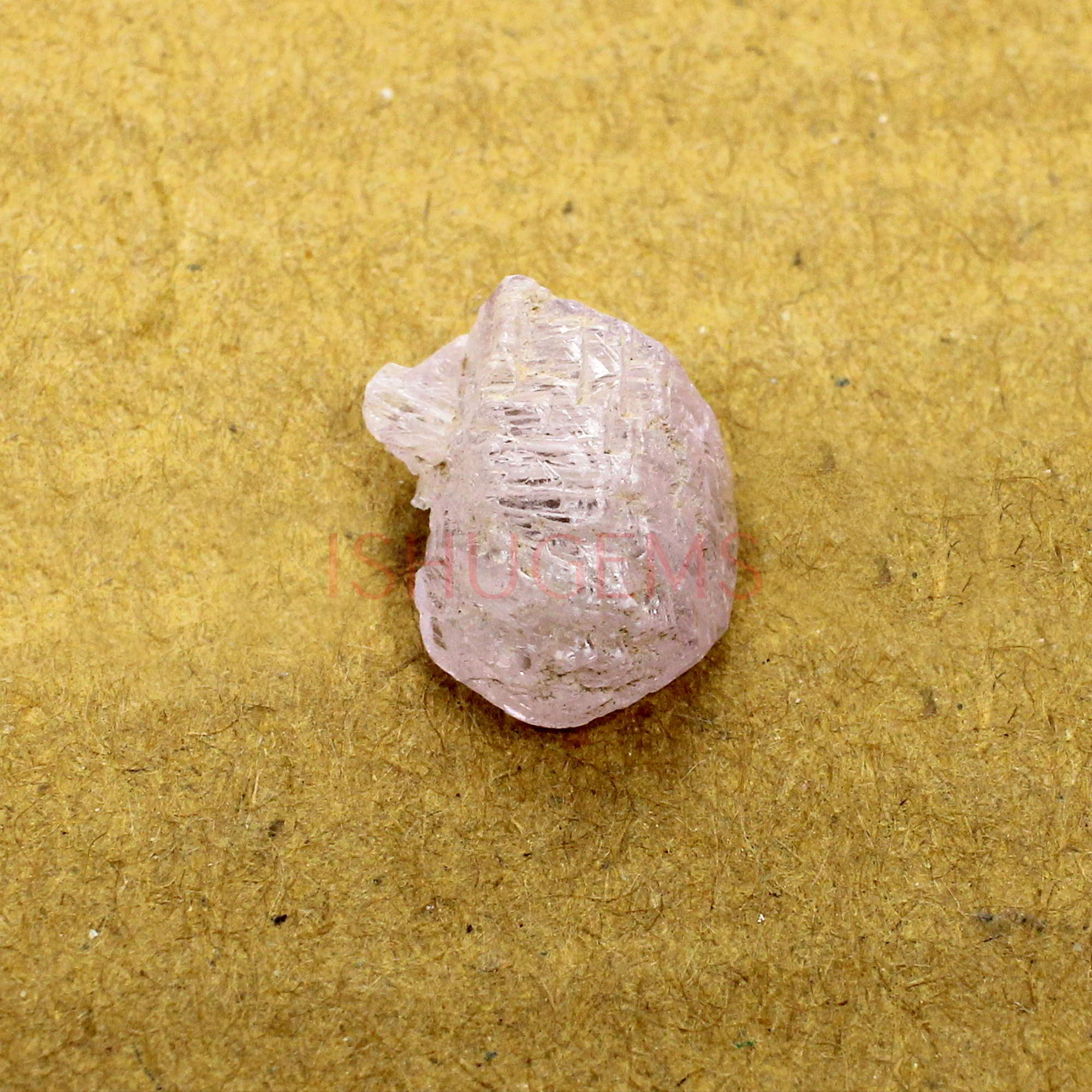 Natural Morganite 16x13mm Freeform Rough 1130 Cts