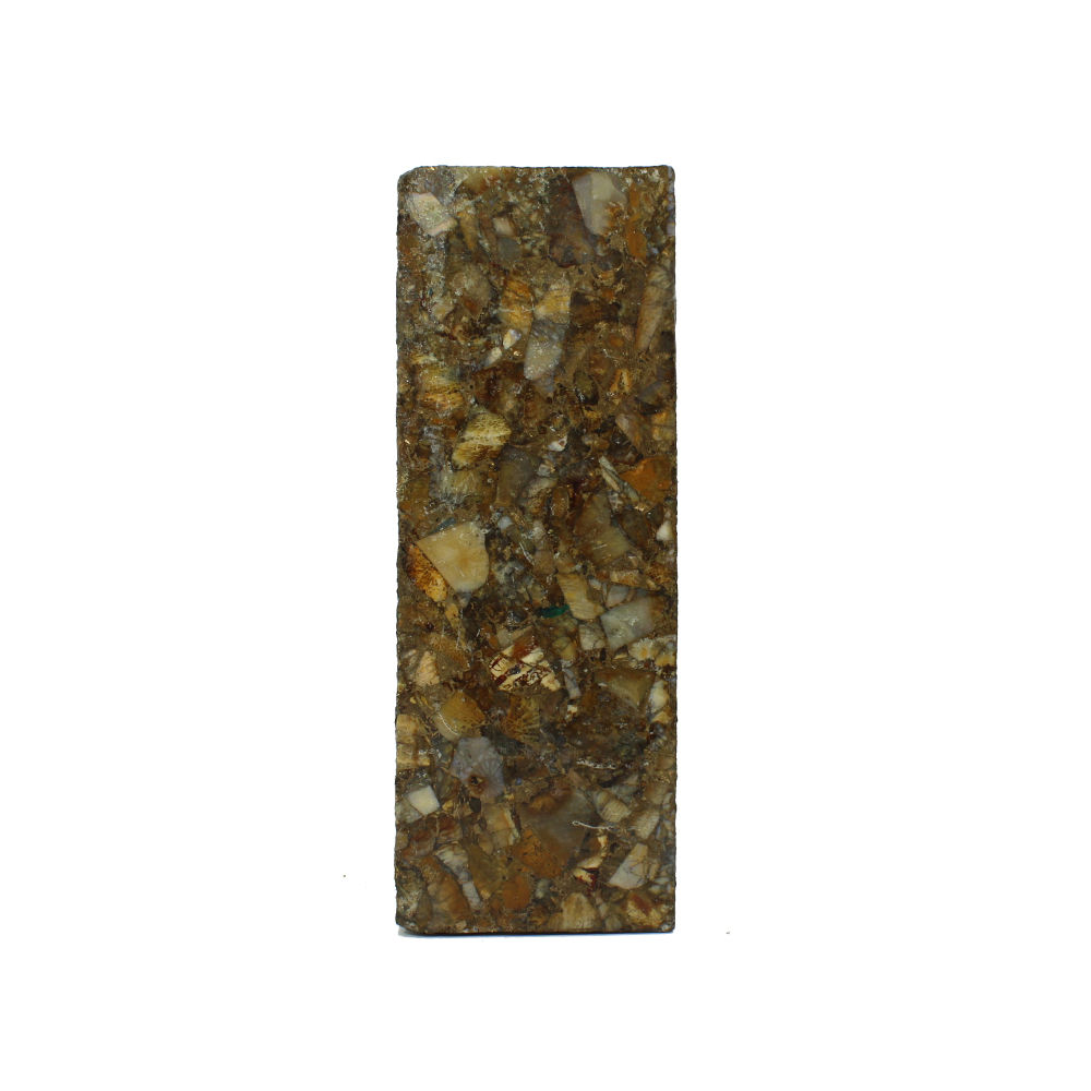 Fossil Coral Copper 130x44mm Rough Slab 1059 Gm