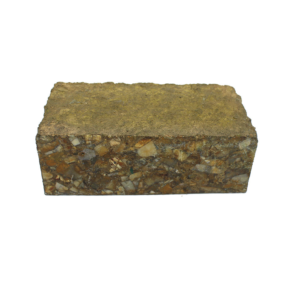 Fossil Coral Copper 130x44mm Rough Slab 1059 Gm