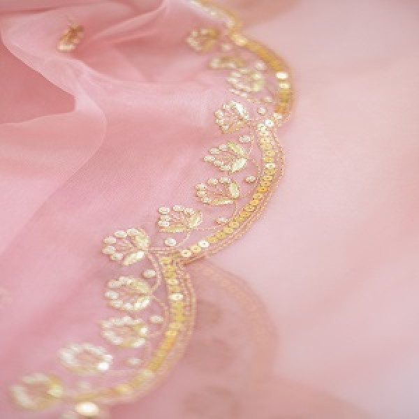 POWDER PINK HANDWORK ORGANZA SAREE