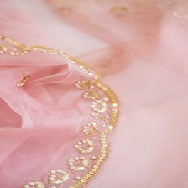 POWDER PINK HANDWORK ORGANZA SAREE