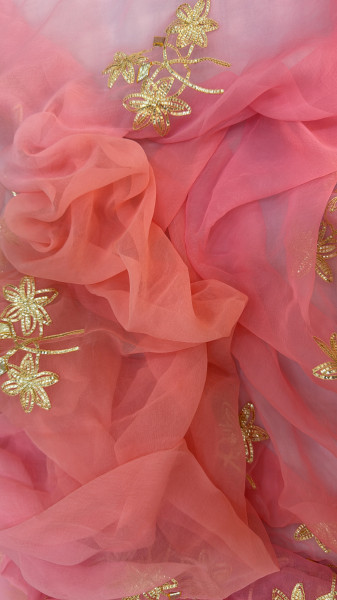 SHIFFON KACCHAGOTA HANDWORK SHADED SAREE