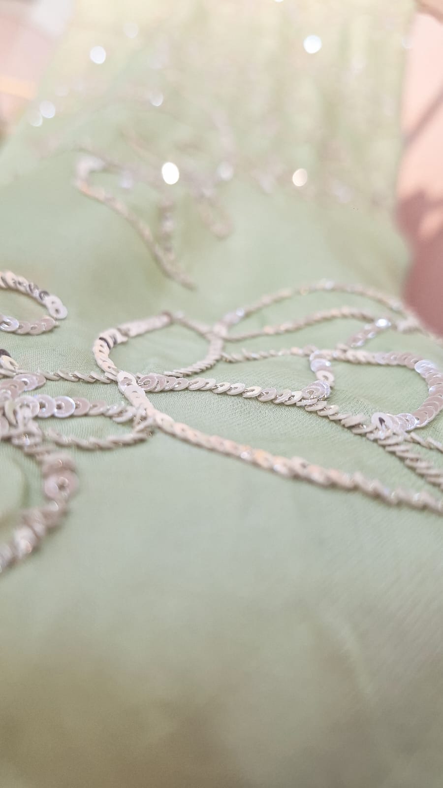 MINTGREEN SEQUIN JAAL HANDWORK SAREE