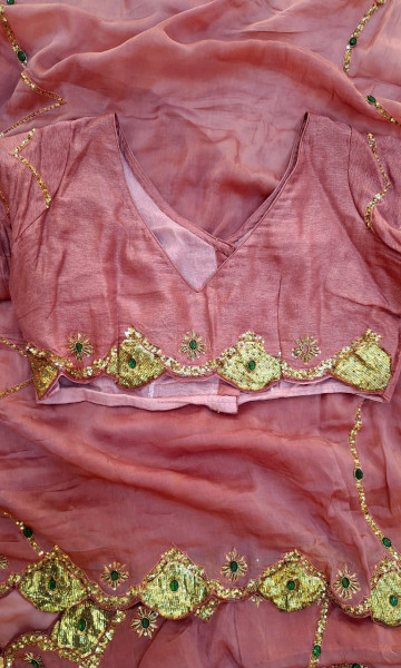 TISSUE ORGANZA MOUSE BROWN HANDWORK SAREE