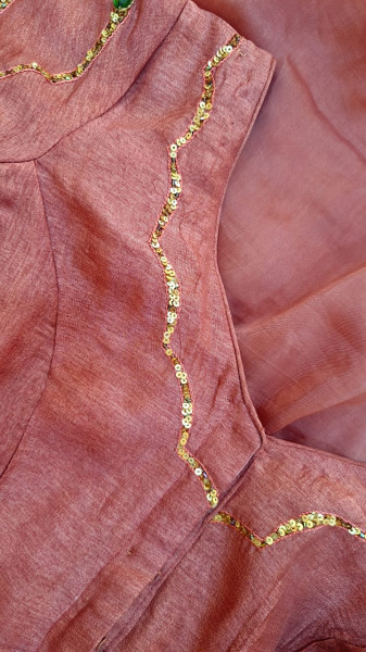 TISSUE ORGANZA MOUSE BROWN HANDWORK SAREE