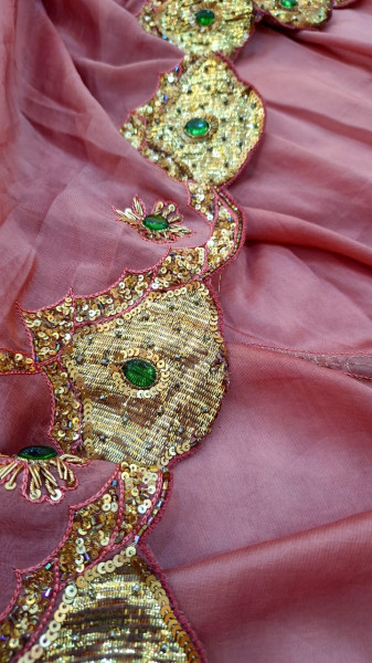 TISSUE ORGANZA MOUSE BROWN HANDWORK SAREE