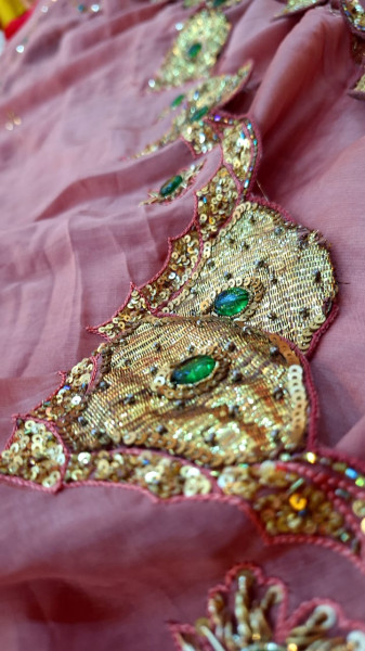 TISSUE ORGANZA MOUSE BROWN HANDWORK SAREE