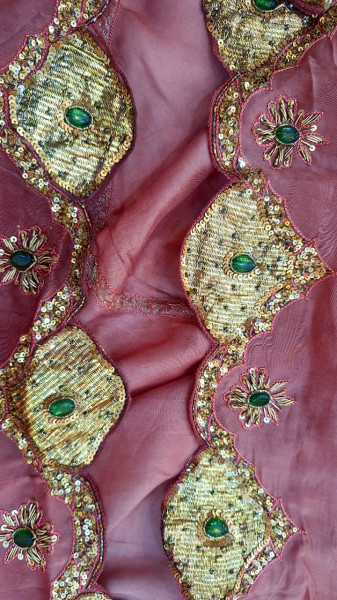 TISSUE ORGANZA MOUSE BROWN HANDWORK SAREE