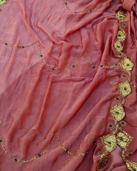 TISSUE ORGANZA MOUSE BROWN HANDWORK SAREE