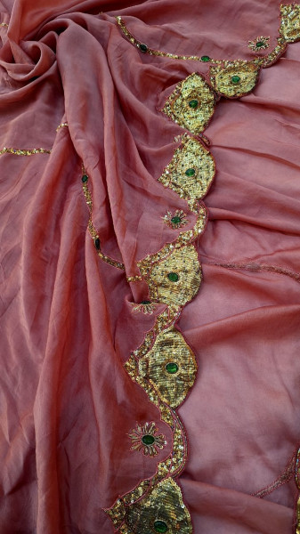 TISSUE ORGANZA MOUSE BROWN HANDWORK SAREE