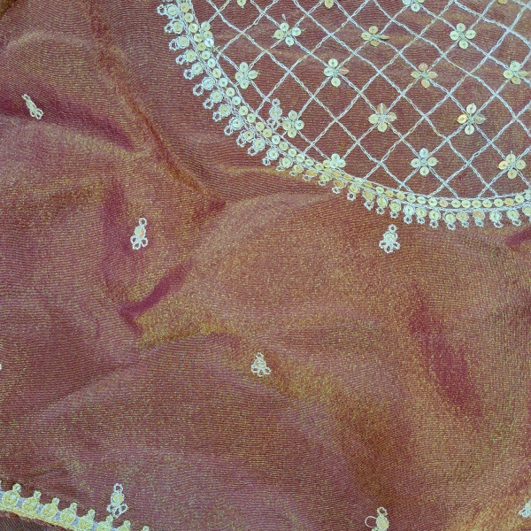 BROWN TISSUE HANDWORK SAREE