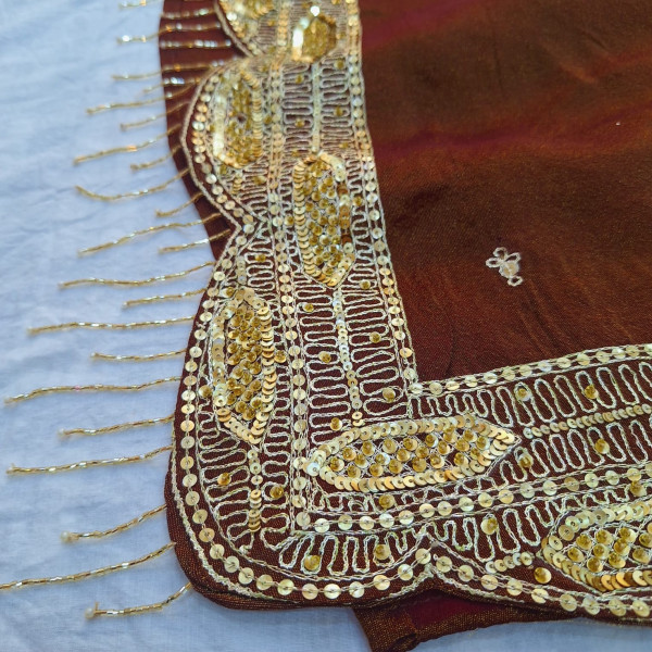 BROWN TISSUE HANDWORK SAREE