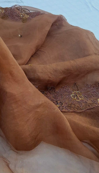 BROWN PURE ORGANZA HANDWORK SAREE  SET