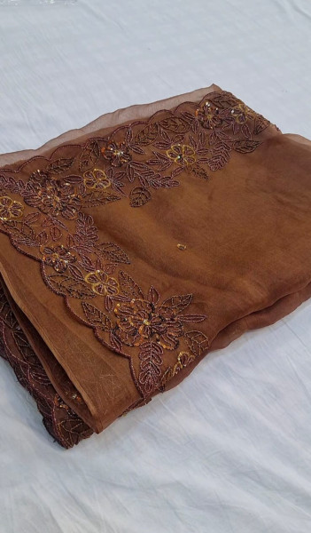 BROWN PURE ORGANZA HANDWORK SAREE  SET