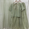 Green Tissue Light Lehenga Set