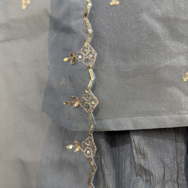 Pastel Blue Tissue Light Lehenga Set