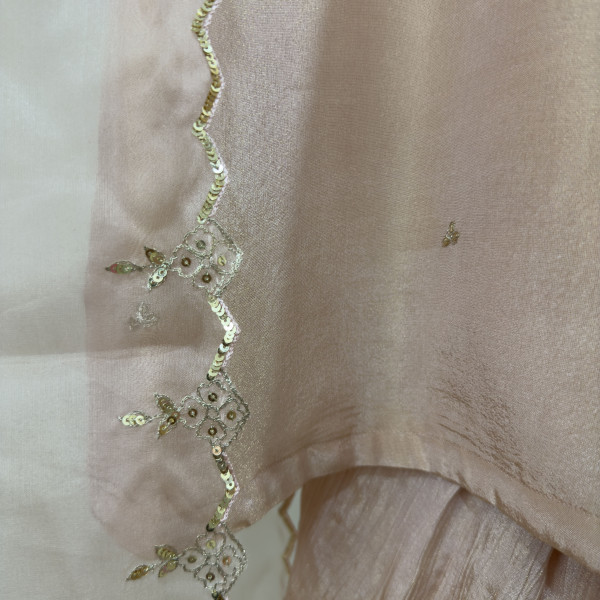 Peach-pink Tissue Light Lehenga Set