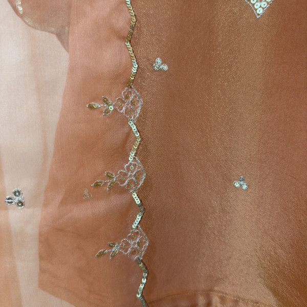 Orange Tissue Light Lehenga Set