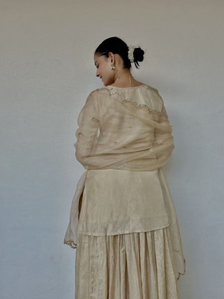 Light Beige Gotapatti Indo-Western