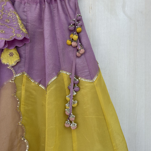 Purple Color Blocked Pastel Lehenga