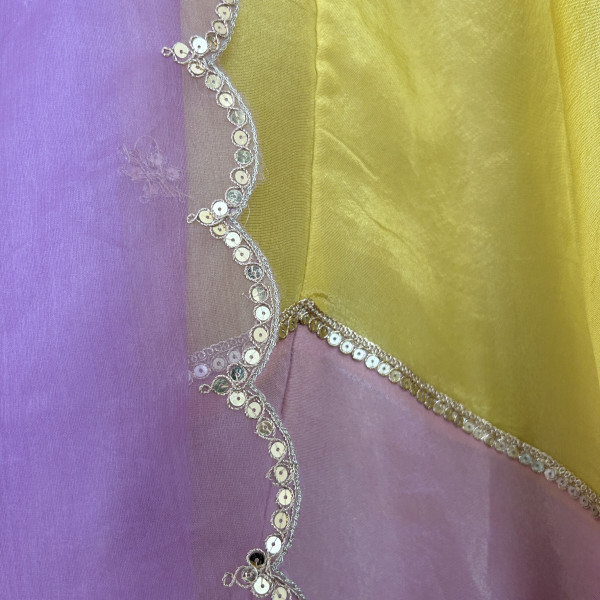 Purple Color Blocked Pastel Lehenga