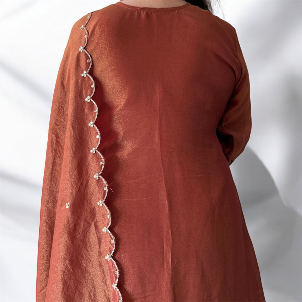 Brown Tissue Hand Embroidered Alia Cut Suit