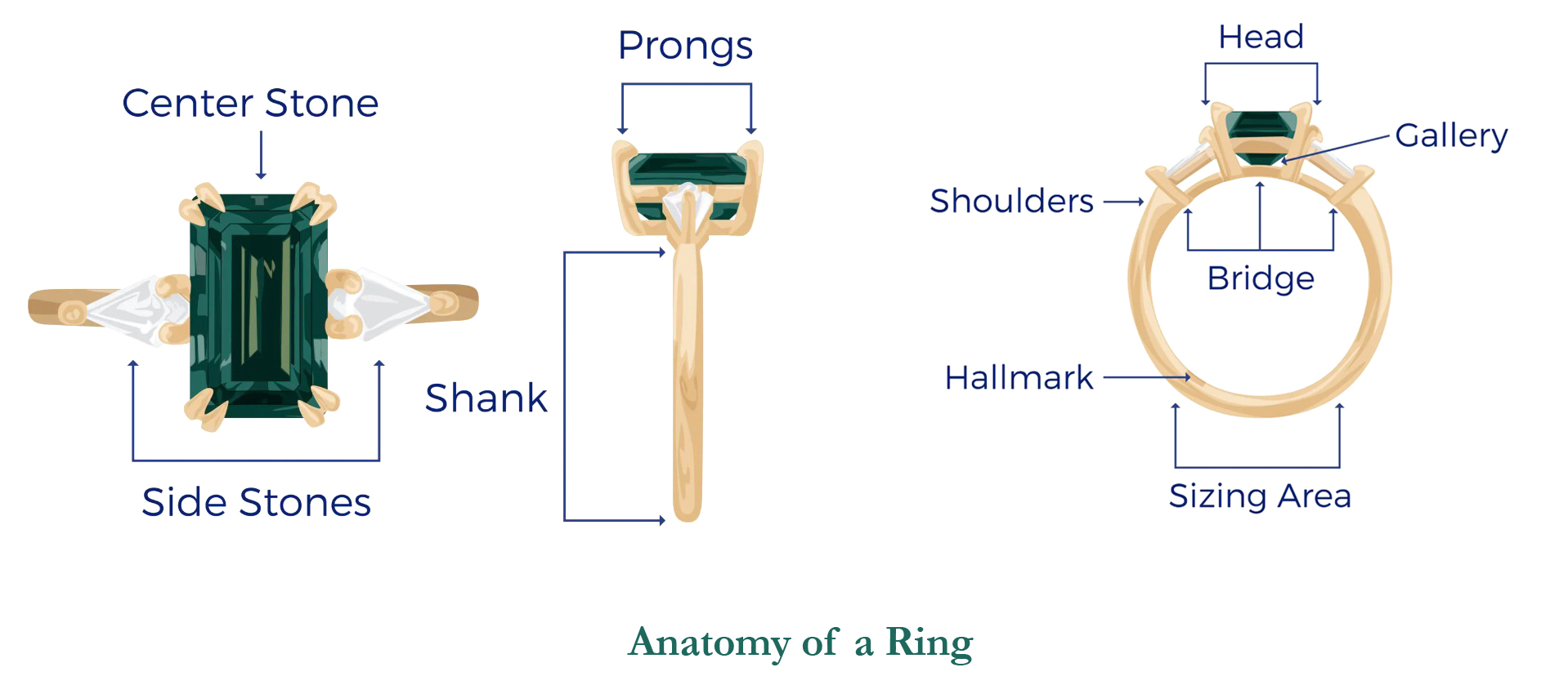 Anatomy of a Ring: A Comprehensive Guide