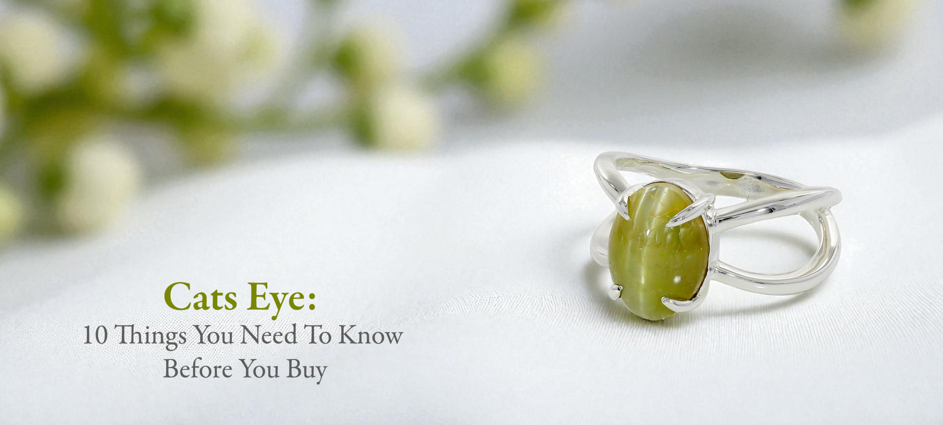 Cats Eye: 10 Things You Need To Know Before You Buy