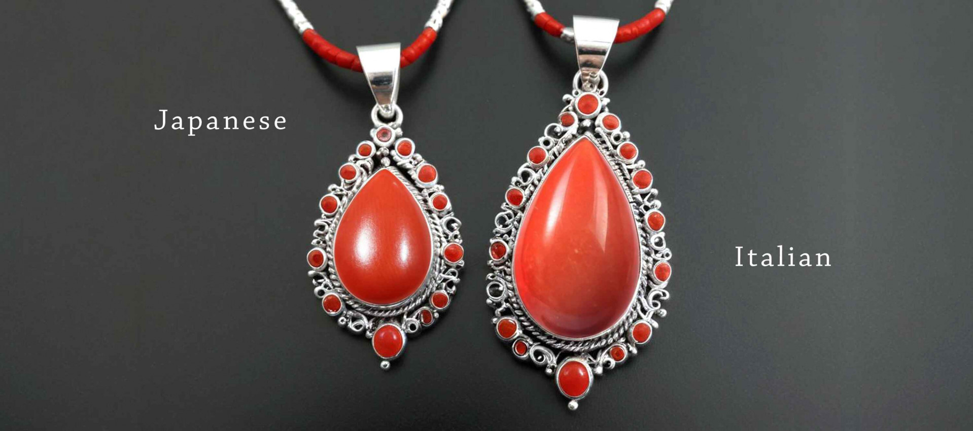 Difference Between Japanese and Italian Coral