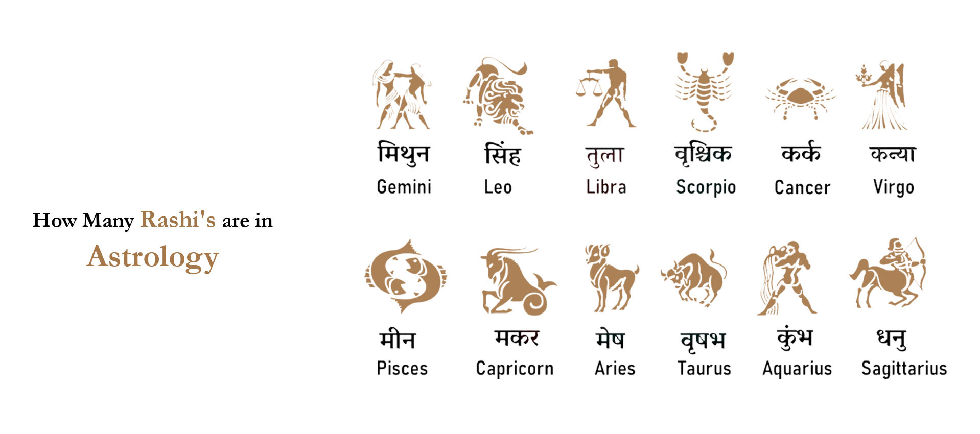 How Many Rashi's are in Astrology?