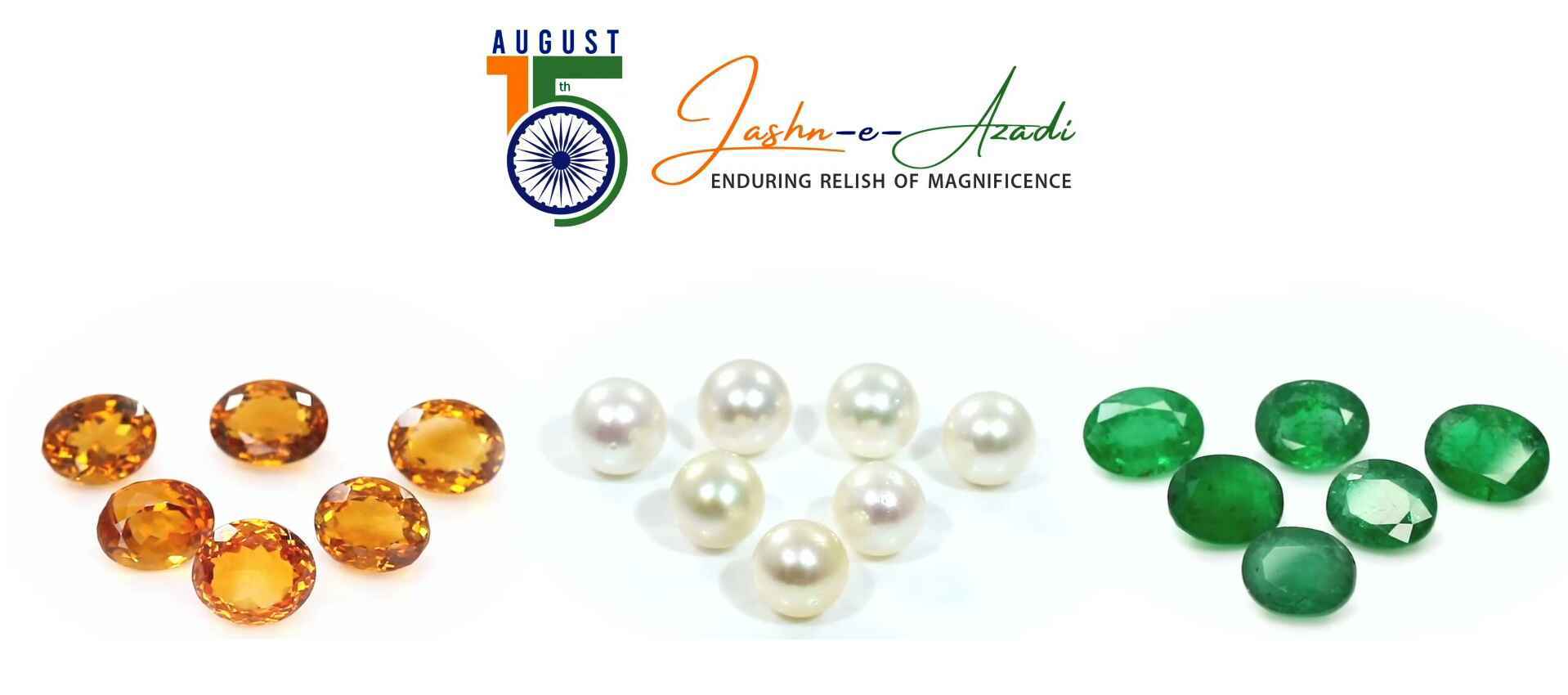 India's Independence Day Celebration With Navratan