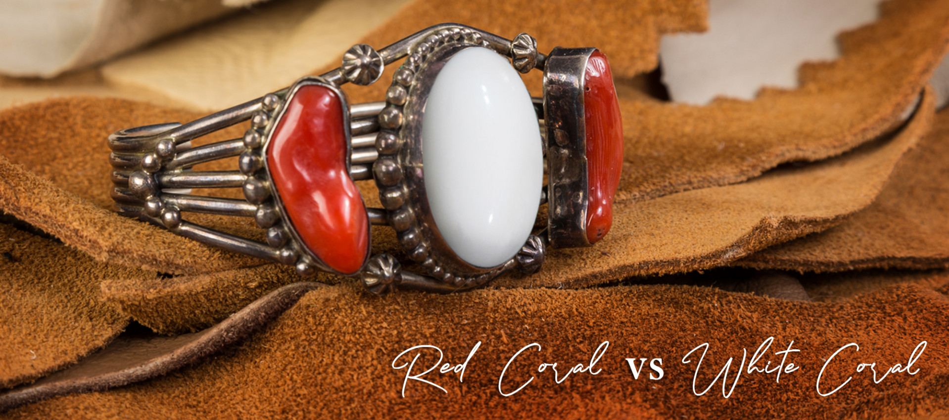 Red Coral vs White Coral: Differences & Benefits