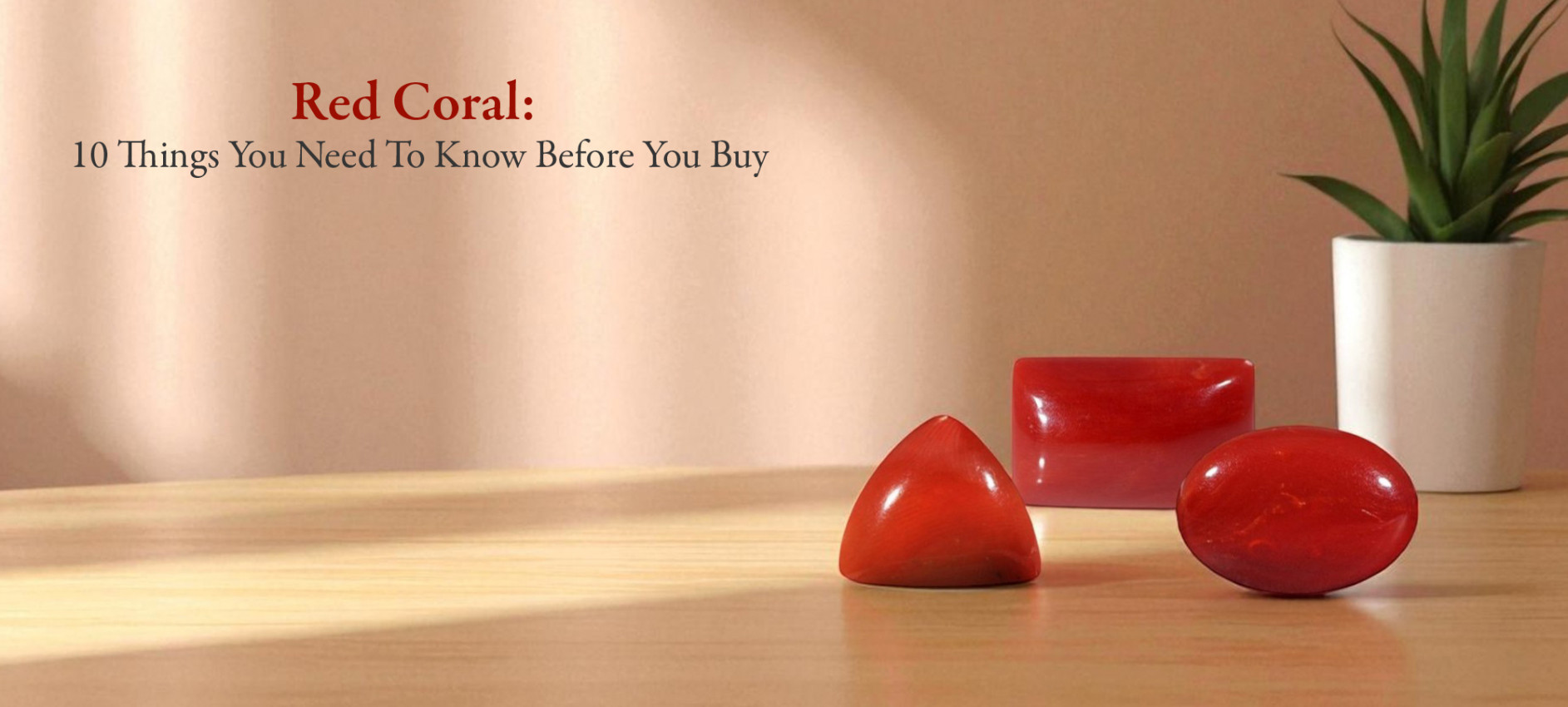 Red Coral 10 Things You Need To Know Before You Buy 6754783707129115_l