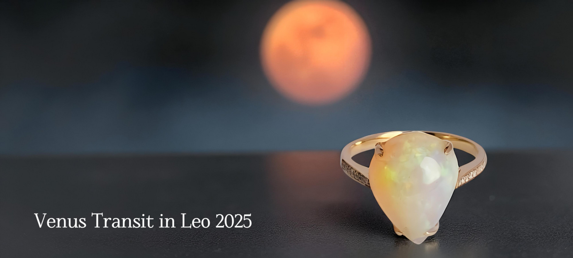 Venus Transit in Leo 2025