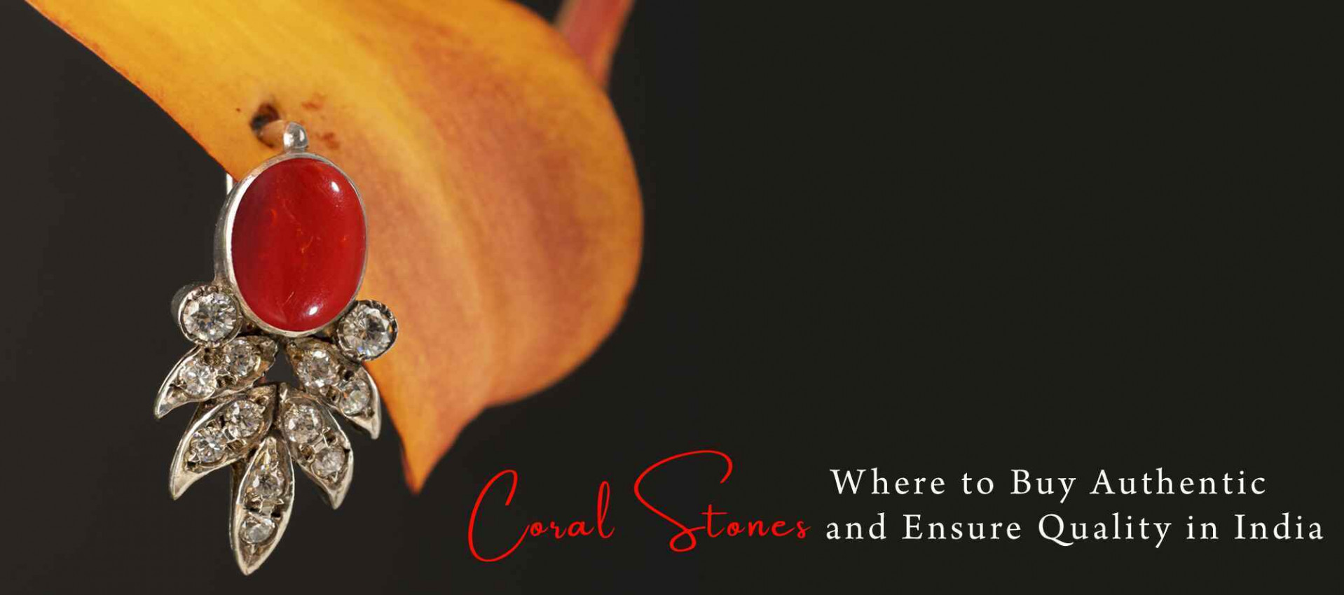 Where to Buy Authentic Coral Stones and Ensure Quality in India