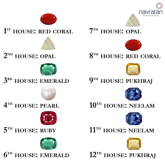 12 Houses In Astrology And Their Lords