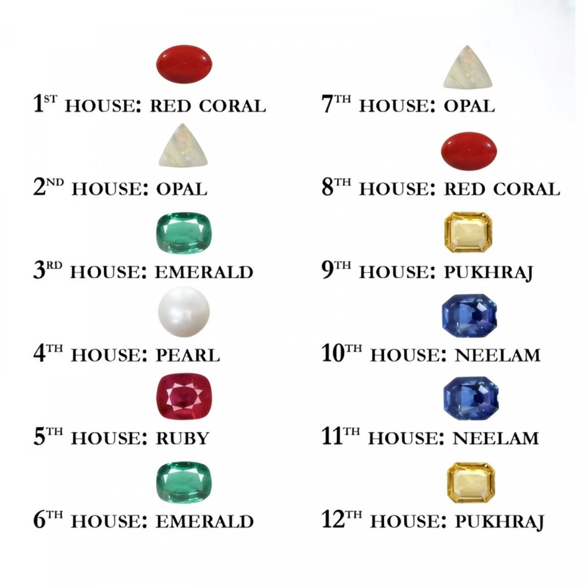 12 Houses in astrology
