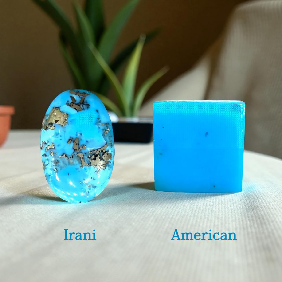 Irani Feroza vs American Feroza Irani Feroza vs American Feroza