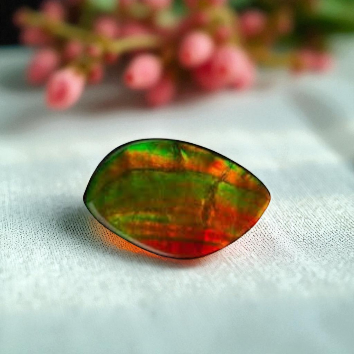 Ammolite