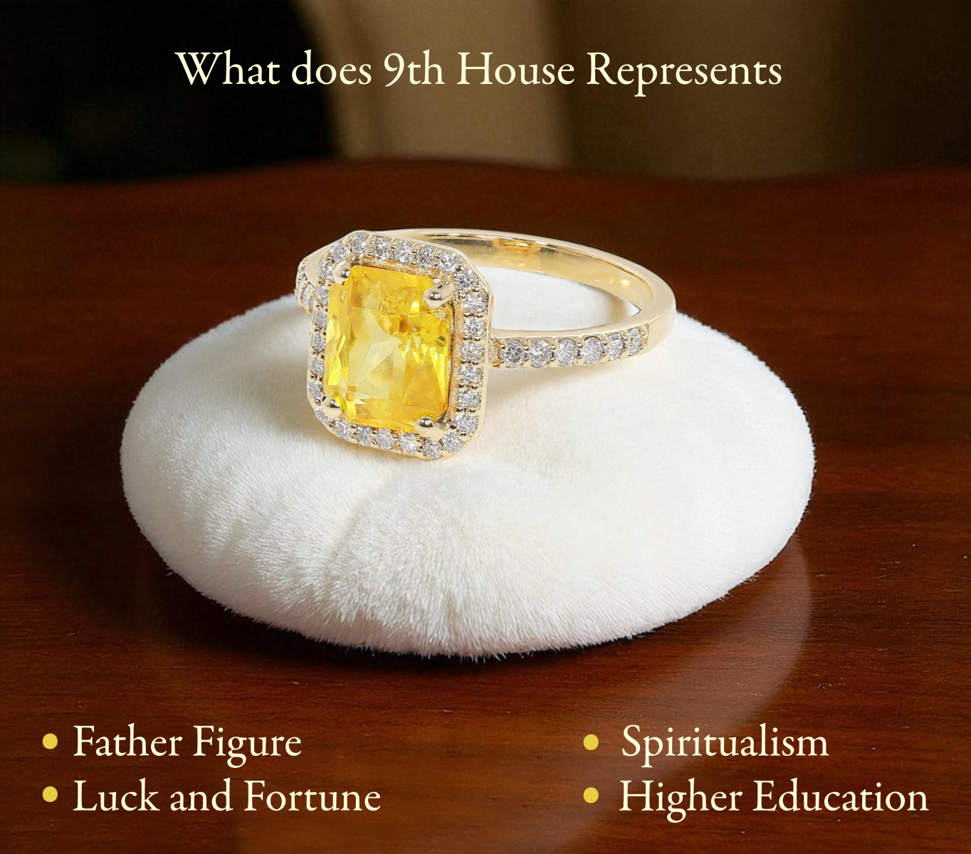 What does 9th House Represents