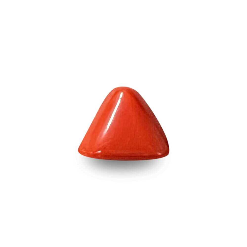 Red Coral - 8.78 Carat