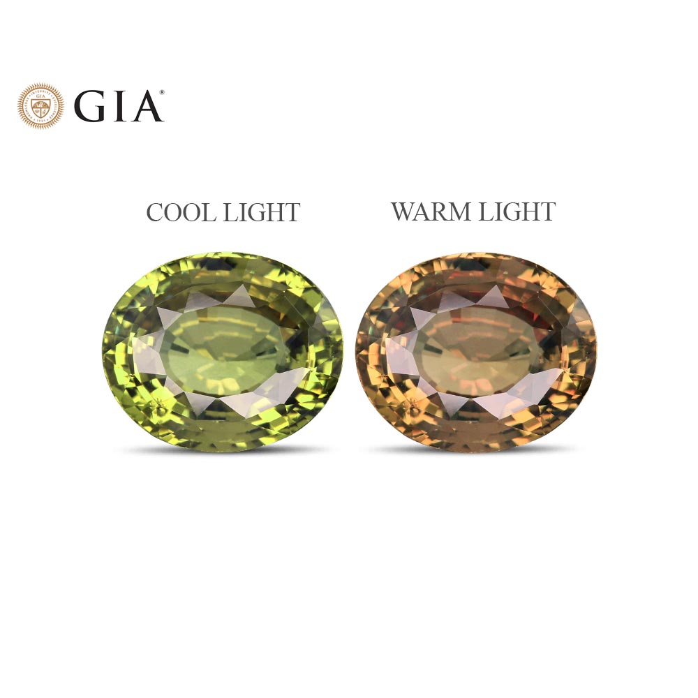 Alexandrite - 13.29 Carat