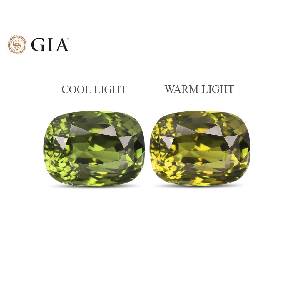 Alexandrite - 13.9 Carat