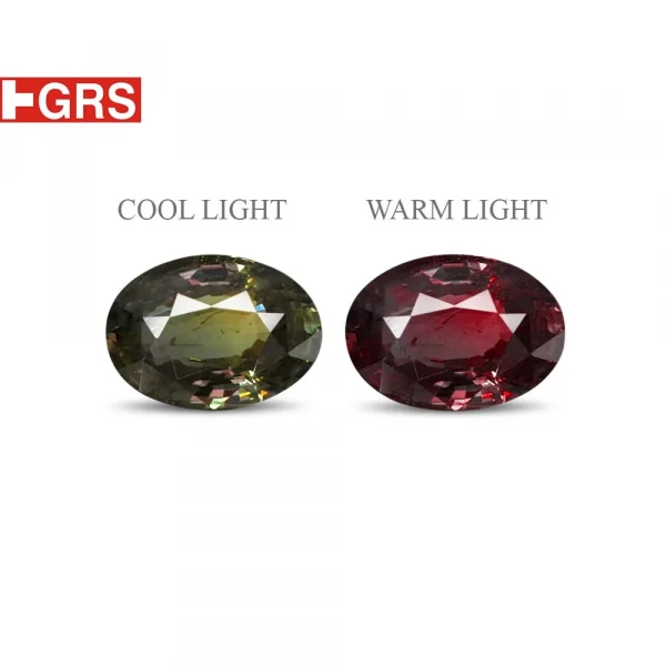 AleXandrite - 3.01 Carat
