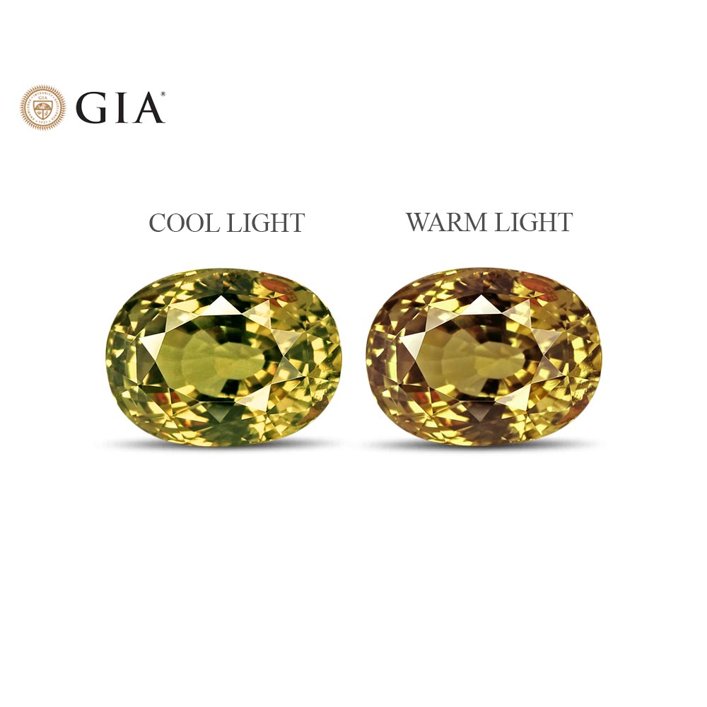 Alexandrite - 3.65 Carat